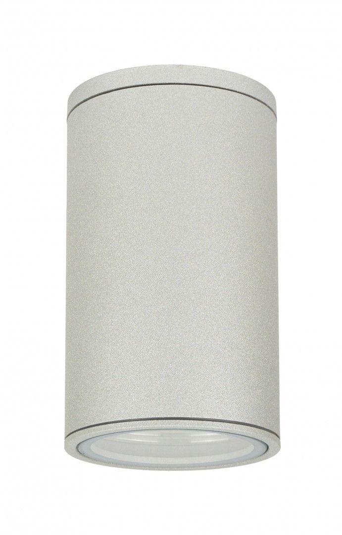 ADELA 7003 AL  Deckenleuchte außen, Korpus: Silber
